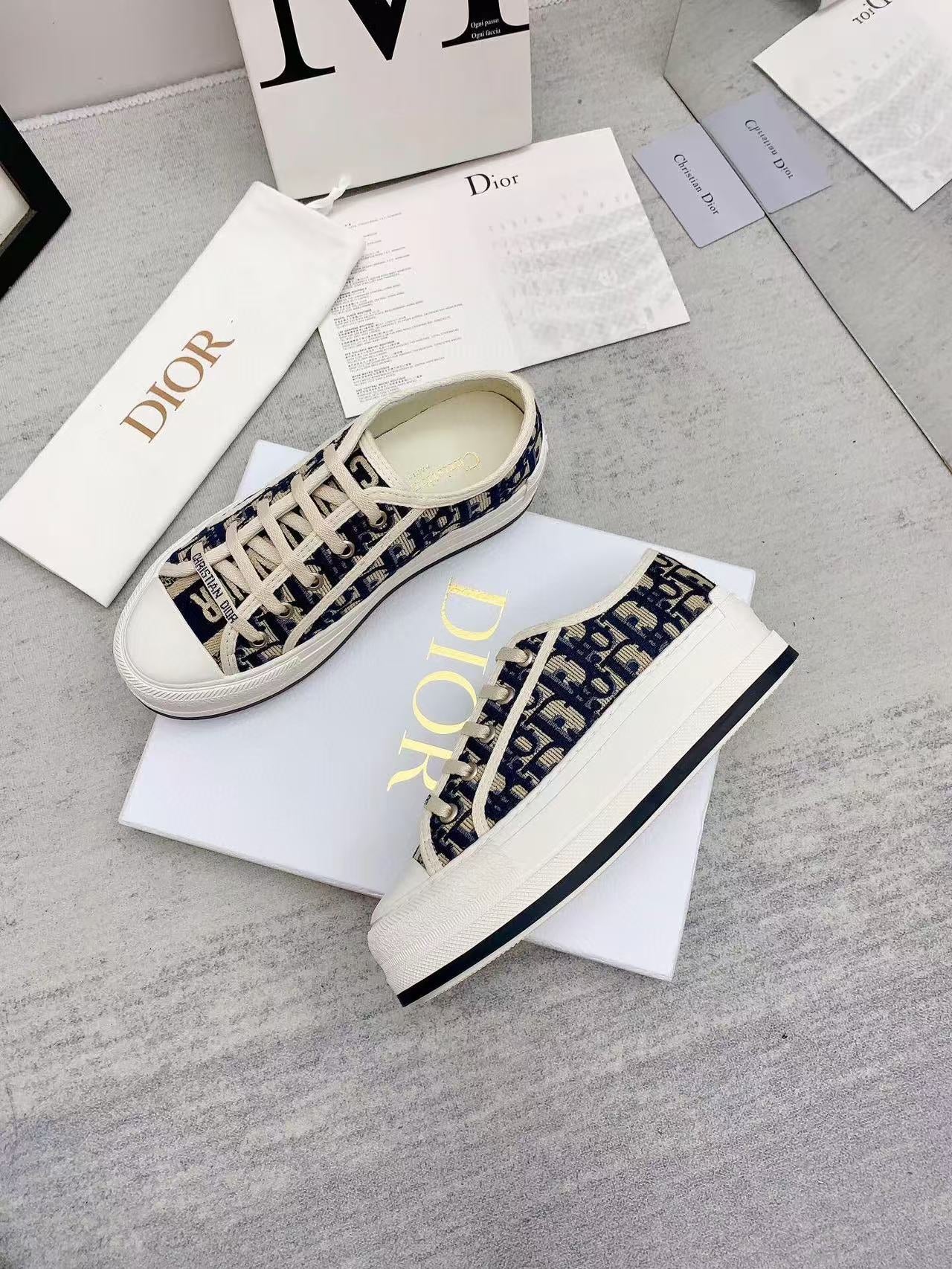 WALKN 45 BEIGE BLUE OBLIQUE EMBROI-DERY CANVAS