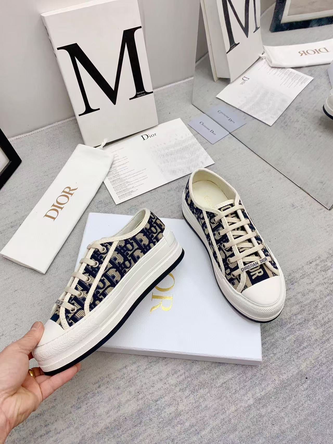 WALKN 45 BEIGE BLUE OBLIQUE EMBROI-DERY CANVAS